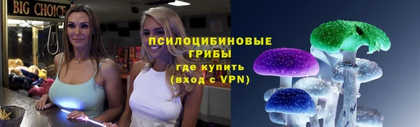 спиды Алексеевка
