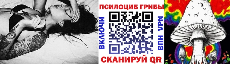 где найти наркотики площадка какой сайт Псилоцибиновые грибы прущие грибы Гурьевск