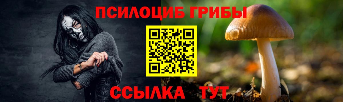 Псилоцибиновые грибы Psilocybine cubensis Гурьевск